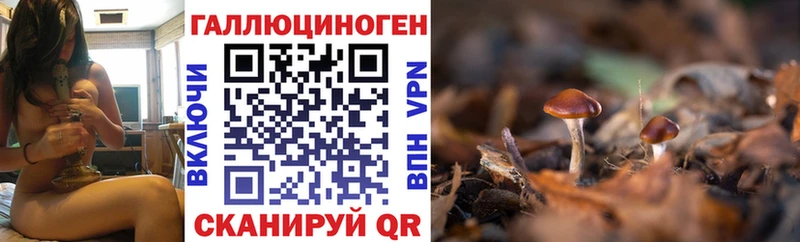 купить наркотики цена  Фурманов  Псилоцибиновые грибы Cubensis 